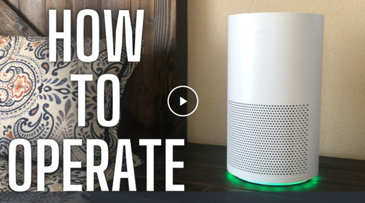 Influencer Review | Megawise Smart Air Purifier