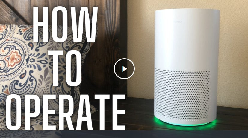 Influencer Review | Megawise Smart Air Purifier