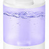 MegaWise Ultrasonic Cool Mist Humidifier | Quiet Operation, Top Fill, Auto Shut-Off | Ideal for Bedroom, Baby Room, and Plants (3.5 L)