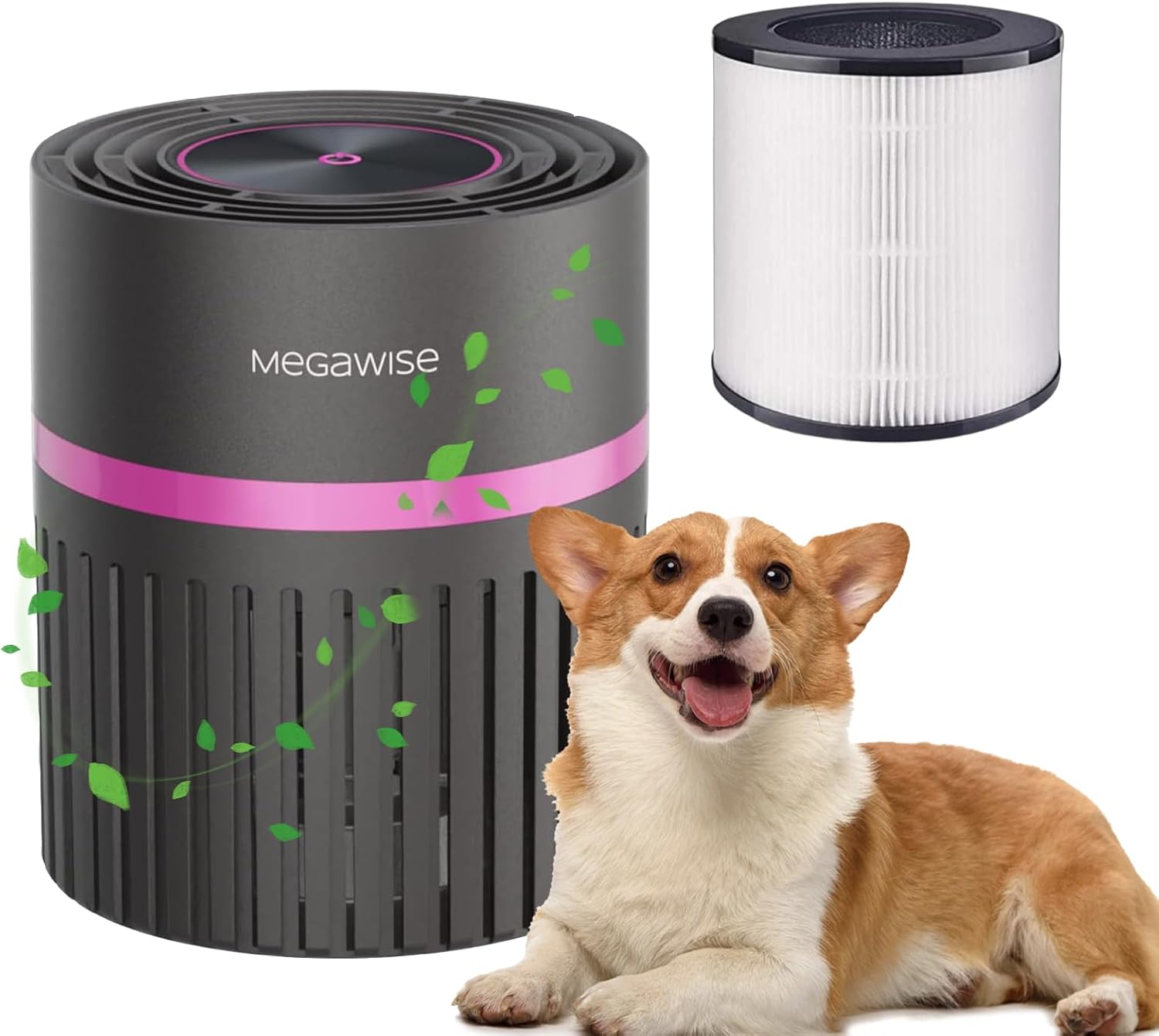 MEGAWISE HEPA Air Purifier for Home & Office, Compact Design with 1 Replacement Filter, Quiet Operation, Suitable for Daily Air Refreshing (Grey)