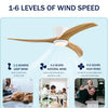 MEGAWISE 52 Inch Solid Wood Ceiling Fan with Lights, Remote Control, 6 Speeds,Noiseless,Reversible DC Motor (White)