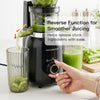 MEGAWISE Slow Masticating Juicer, Cold Press Juicer for Fruits & Vegetables