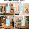 MegaWise Ultrasonic Cool Mist Humidifier | Quiet Operation, Top Fill, Auto Shut-Off | Ideal for Bedroom, Baby Room, and Plants (3.5 L)