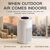 MegaWise Air Purifier EPI-235A (2024) - HEPA Filter, 3-Stage Filtration, Ultra-Quiet Operation, Adjustable Fan Speed, and Night Light