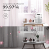 MEGAWISE EPI810 Air Purifier for Small Rooms | Captures Dust, Smoke, Pet Hair | Ideal for Home, Office, Bedroom