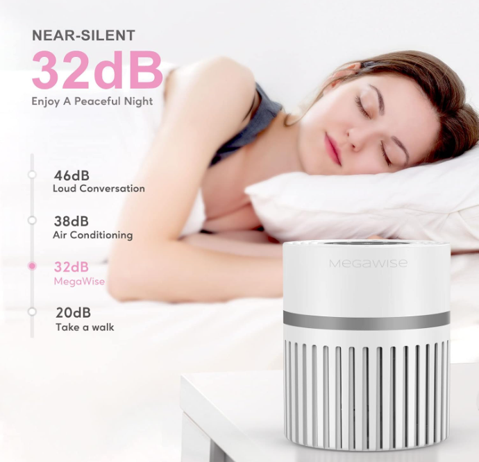 MEGAWISE EPI810 Air Purifier for Small Rooms | Captures Dust, Smoke, Pet Hair | Ideal for Home, Office, Bedroom