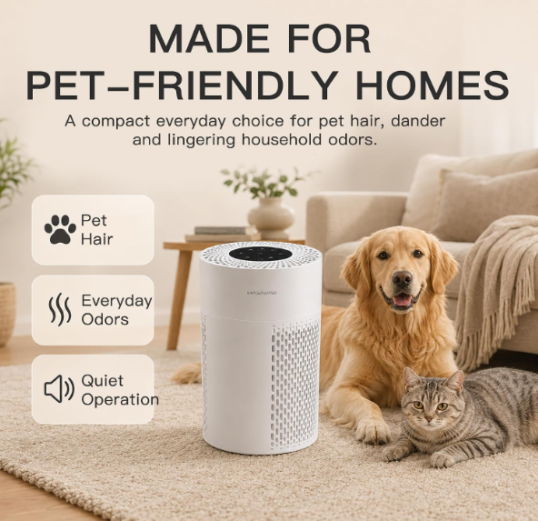 MEGAWISE Air Purifier for Home, True HEPA Filter, Auto Mode, 216 Sq Ft