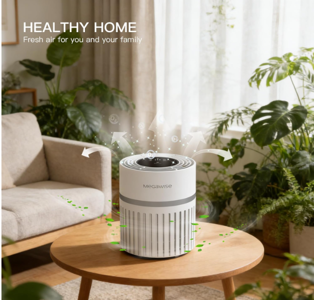 MEGAWISE HEPA Air Purifier, Compact Air Cleaner with Multi-Layer Filter