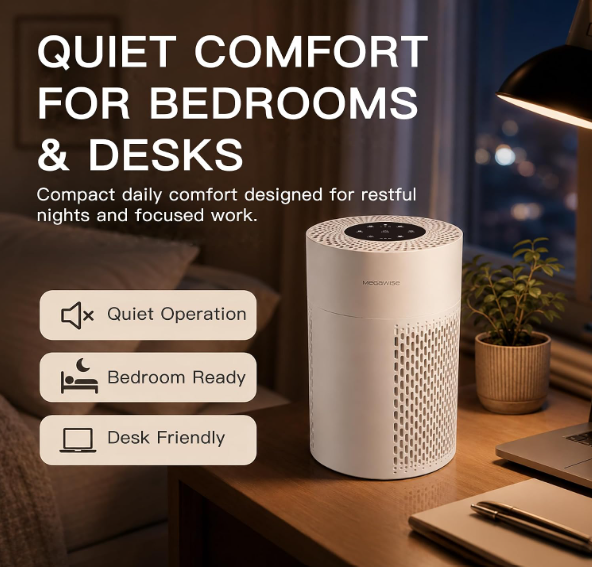 MEGAWISE Quiet Desktop Air Purifier, Featuring A Three-Stage Filtration System with H13-Grade HEPA Filter, Covers 700 Sq Ft, Ideal for Homes and Offices, Gray