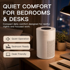 MEGAWISE Quiet Desktop Air Purifier, Featuring A Three-Stage Filtration System with H13-Grade HEPA Filter, Covers 700 Sq Ft, Ideal for Homes and Offices, Gray