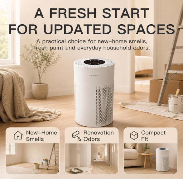 MEGAWISE Quiet Desktop Air Purifier, Featuring A Three-Stage Filtration System with H13-Grade HEPA Filter, Covers 700 Sq Ft, Ideal for Homes and Offices, Gray
