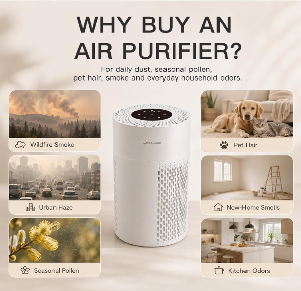 MEGAWISE Quiet Desktop Air Purifier, Featuring A Three-Stage Filtration System with H13-Grade HEPA Filter, Covers 700 Sq Ft, Ideal for Homes and Offices, Gray
