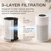 MEGAWISE Quiet Desktop Air Purifier, Featuring A Three-Stage Filtration System with H13-Grade HEPA Filter, Covers 700 Sq Ft, Ideal for Homes and Offices, Gray
