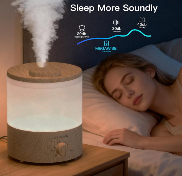 MEGAWISE 2025 Humidifier