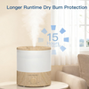 MEGAWISE 2025 Humidifier
