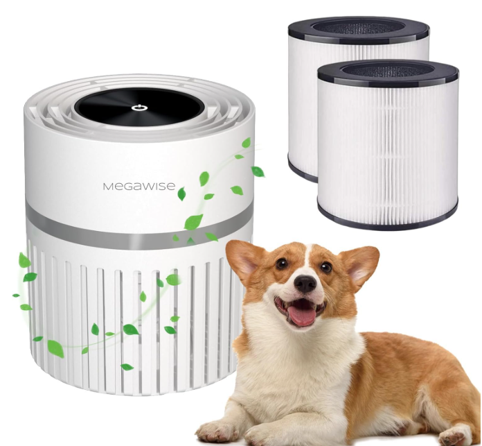 MEGAWISE HEPA Air Purifier for Home & Office, Includes 3 Filters, Quiet Operation, Compact Design for Daily Air Refreshing (White)