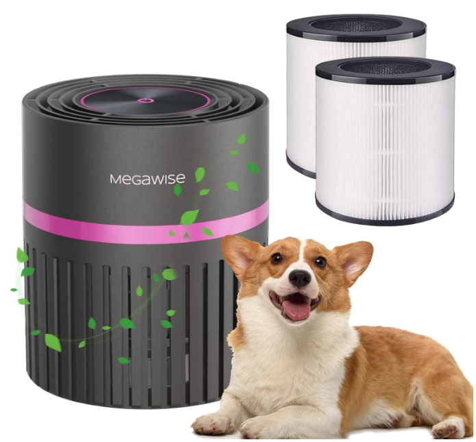 MEGAWISE Compact HEPA Air Purifier for Home, Office & Bedroom