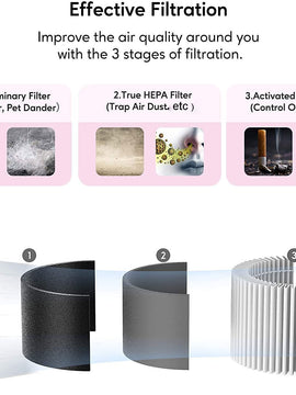 MEGAWISE 3-in-1 True HEPA Replacement Filter, Compatible with EPI810, 3 Stage Filtration