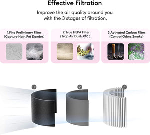 MEGAWISE 3-in-1 True HEPA Replacement Filter, Compatible with EPI810, 3 Stage Filtration