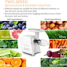 Load image into Gallery viewer, MEGAWISE Slow Masticating Juicer 9 Segment Spiral 2 Speed Modes 50dB Quiet Motor
